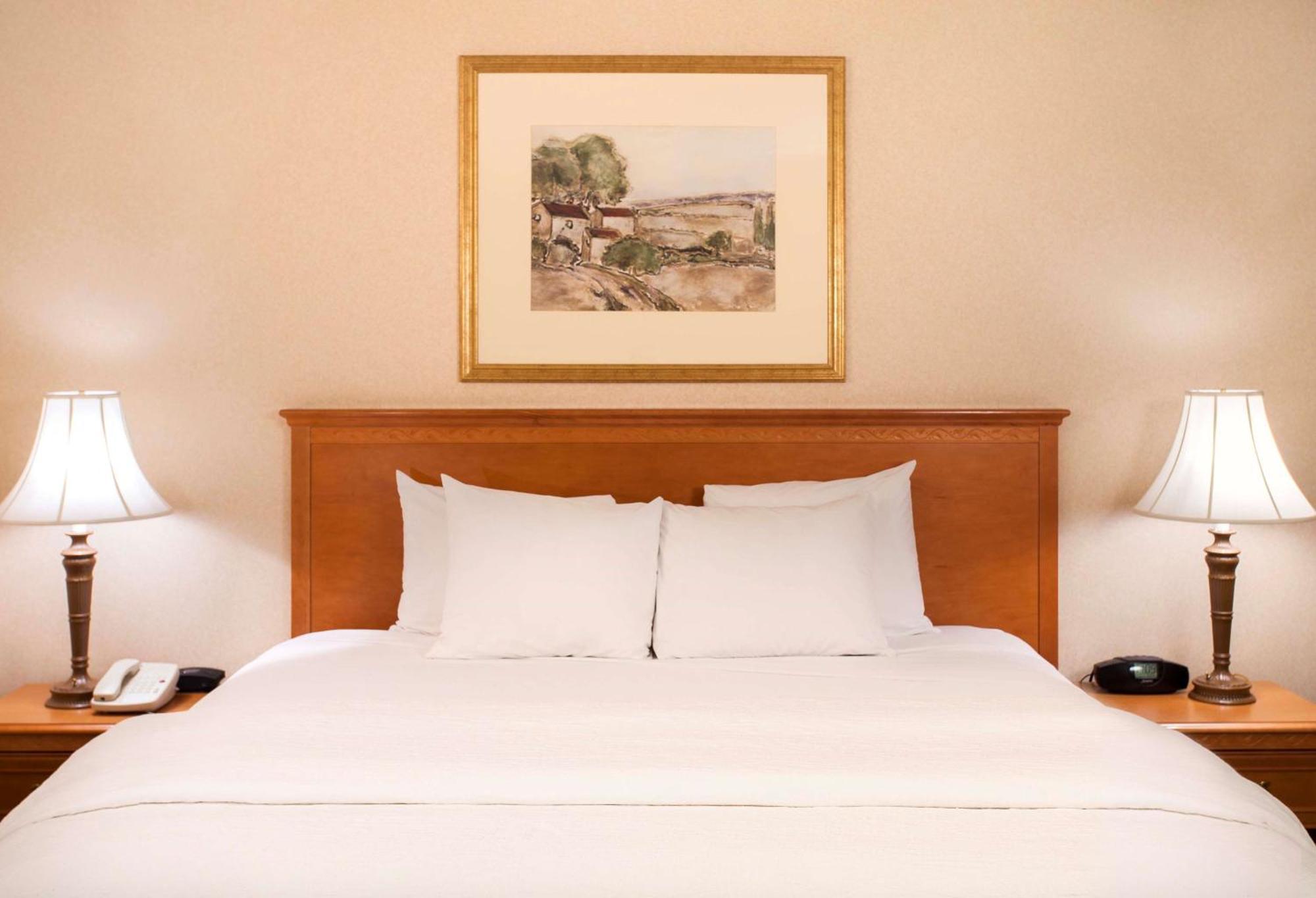 Hampton Inn & Suites Addison Eksteriør bilde